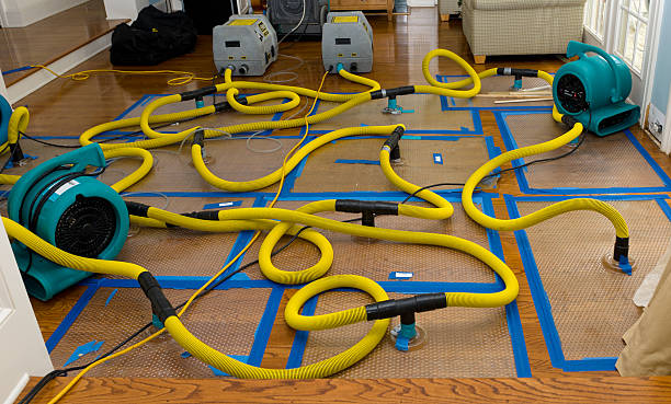Professional Structural Drying And Dehumidification technician working in Melbourne, FL